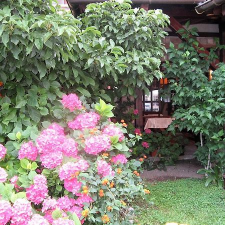 Guest House Zlatibor Будва Екстериор снимка