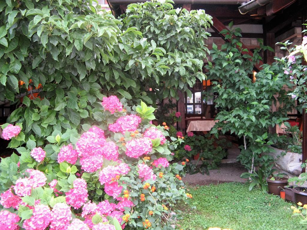 Guest House Zlatibor Будва Екстериор снимка