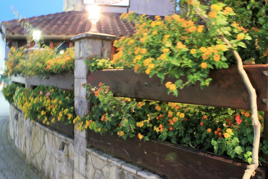 Guest House Zlatibor Будва Екстериор снимка